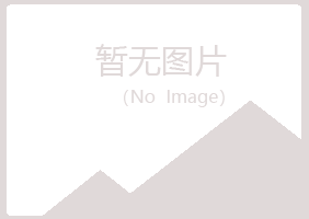 偃师白山运输有限公司